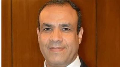 وزير الخارجية يؤكد أن الدولة المصرية قدمت 70% من المساعدات لغزة