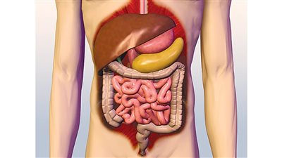 علاج اضطرابات الجهاز الهضمي.. 7 علاجات منزلية فعالة لتهدئة البطن