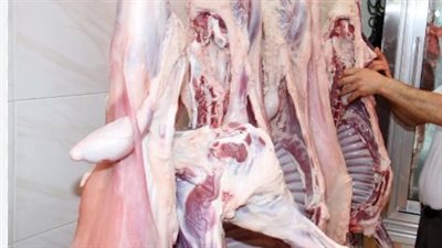  سعر كيلو اللحم البلدي اليوم الثلاثاء 9_ 7_ 2024 