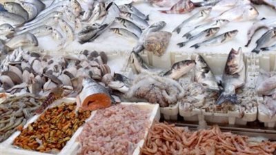  أسعار السمك والجمبري اليوم الأربعاء 10 يوليو 2024