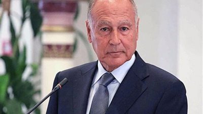 أحمد أبو الغيط يدعو لتعزيز الشراكة الاستراتيجية بين الدول العربية واليابان