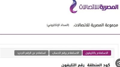 آخر موعد لسداد فاتورة التليفون الأرضي عبر https://billing.te.eg/ar-EG 