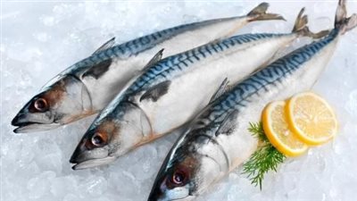  أسعار السمك والجمبري، اليوم السبت 13 يوليو 2024