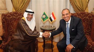 وزير الخارجية لأمين عام مجلس التعاون الخليجي: استقرار الخليج مصلحة مصرية مباشرة