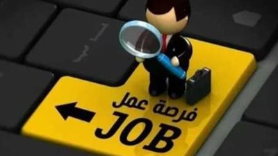 وظائف وزارة النقل 2024