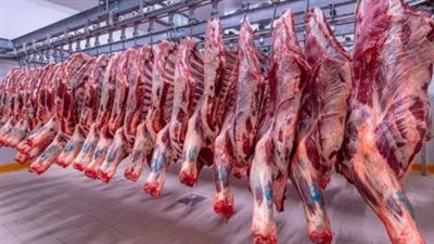  سعر كيلو اللحم البلدي اليوم الأربعاء 17_ 7_ 2024