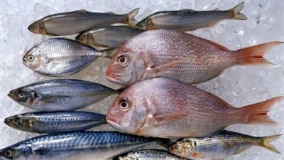  أسعار السمك والجمبري اليوم الخميس 18 يوليو 2024