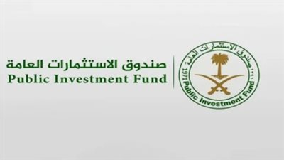 ما هو اسم الشركة المملوكة لصندوق الاستثمارات العامة؟