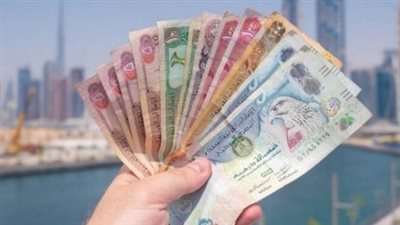 سعر الدرهم الإماراتي في البنك المركزي المصري اليوم الأحد 21_ 7_ 2024