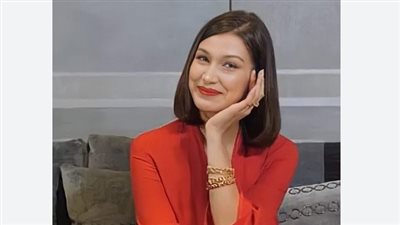 من هي بيلا حديد؟ (حياتها المهنية)