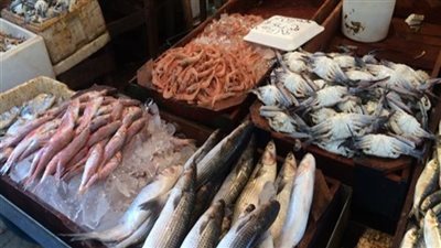 أسعار الأسماك والجمبري اليوم الثلاثاء 23 يوليو 2024