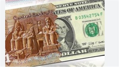 سعر الدولار في البنك المركزي المصري اليوم 24_7_2024