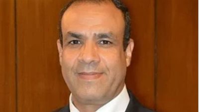  بدر عبد العاطي يبحث هاتفيا مع نظيره الغينى الارتقاء بعلاقات البلدين