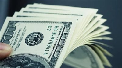 سعر الدولار اليوم في البنك المركزي اليوم الخميس 25_7_2024 