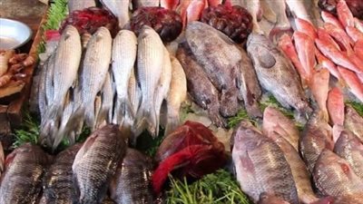 سعر السمك البلطي اليوم الخميس 25_7_2024