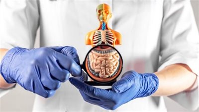 فرط نمو البكتيريا في الأمعاء الدقيقة.. الأسباب والأعراض وعلاقتها بالقولون العصبي