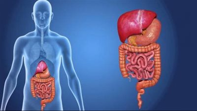 تحسين عملية الهضم والإخراج.. 8 نصائح ذهبية لحياة صحية