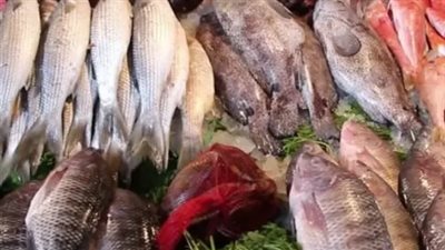  أسعار الأسماك والجمبري اليوم الاثنين 29 يوليو 2024