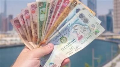 سعر الدرهم الإماراتي مقابل الجنيه المصري اليوم الاثنين 29 يوليو 2024