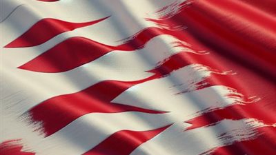 البحرين وباكستان تتطلعان إلى تعزيز التعاون العسكري المشترك