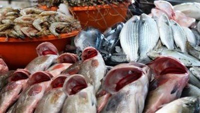 أسعار الجمبري اليوم الثلاثاء 30 يوليو 2024