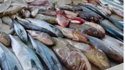 أسعار الجمبري اليوم الأحد 28 يوليو 2024