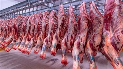 سعر كيلو اللحم البلدي اليوم الأربعاء 31_7_ 2024 