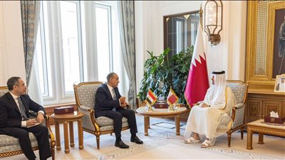وزير الخارجية والهجرة يناقش مع نظيره القطري الأوضاع في المنطقة 