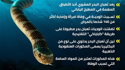 ثعبان بحر يقتل سيدة ويصيب 140 أخرين بمرض عضال في اليابان (إنفوجراف)