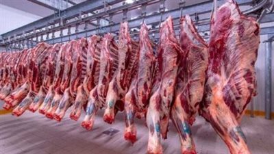 أسعار اللحوم اليوم السبت 3 أغسطس 2024