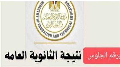 رابط نتيجة الثانوية العامة 2024 عبر موقع الوزارة
