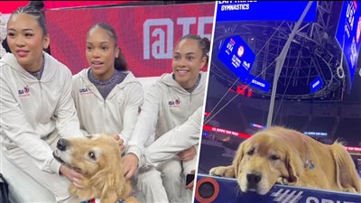 الكلب بيكون يمنح أمريكا 7 ميداليات في أولمبياد باريس.. ما القصة؟