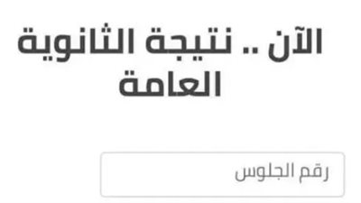  للشعبتين الأدبي والعلمي.. خطوات الحصول على نتيجة الثانوية العامة 2024 عبر متن نيوز