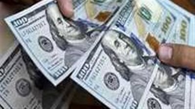 سعر الدولار في البنك المركزي المصري اليوم 5_8_2024