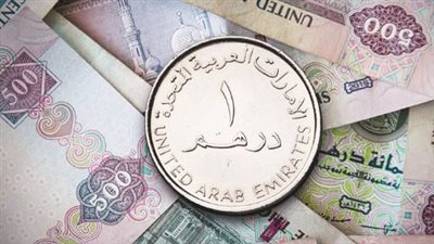  سعر الدرهم الإماراتي مقابل الجنيه المصري اليوم الإثنين 5 أغسطس 2024