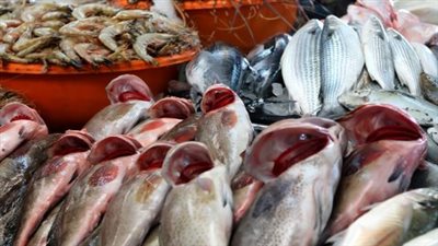  أسعار الأسماك والجمبري اليوم الإثنين 5 أغسطس 2024 داخل سوق العبور