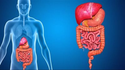 حركة الأمعاء الطبيعية.. معدل التبرز وعلاقته بصحة الجهاز الهضمي