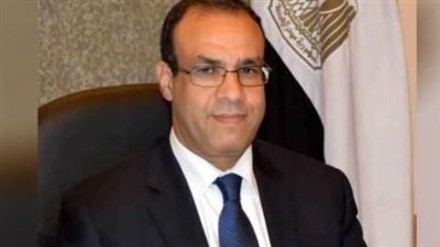 بدر عبد العاطى يؤكد اعتزاز مصر بعلاقتها الممتدة مع البرازيل