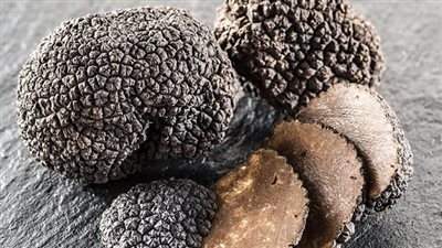 فوائد الفقع لتقليل الالتهاب 