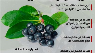 توت الأرونيا.. كنوز صحية وسط تحذيرات هامة (انفوجراف)