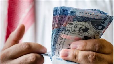 سعر الدولار بالبنك المركزي المصري اليوم 11_8_2024