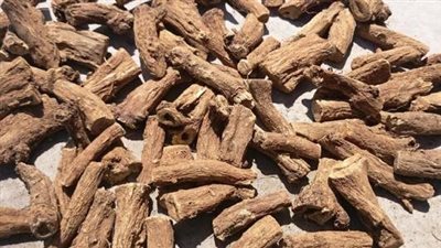 فوائد القسط الهندي للعلاقة الحميمة