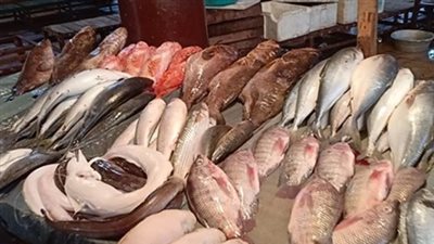 أسعار الأسماك والجمبري اليوم الثلاثاء 13 أغسطس 2024