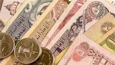 سعر الدرهم الإماراتي مقابل الجنيه المصري اليوم الثلاثاء 13 أغسطس 2024
