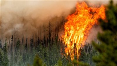 استمرار حرائق الغابات في المناطق الساحلية السورية