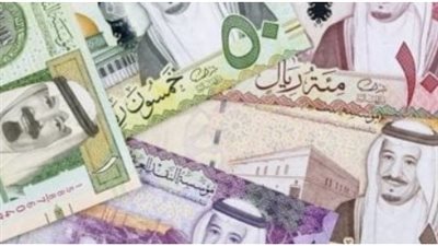  سعر الريال السعودي مقابل الجنيه اليوم الأربعاء 14 أغسطس 2024