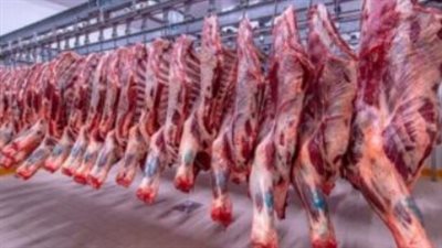 أسعار اللحوم في محلات الجزارة صباح اليوم الخميس 15 أغسطس 2024