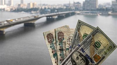 الدولار يواصل تراجعه أمام الجنيه بالبنوك ويسجل أقل من 49 جنيها اليوم الخميس 15_ 8_ 2024