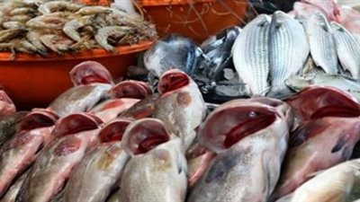 أسعار السمك والجمبري اليوم السبت 17 أغسطس 2024
