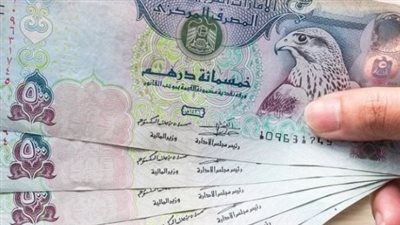 سعر الدرهم الإماراتي في البنك المركزي المصري اليوم 19_8_2024